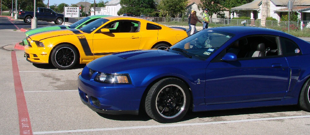 mustang1 (168K)